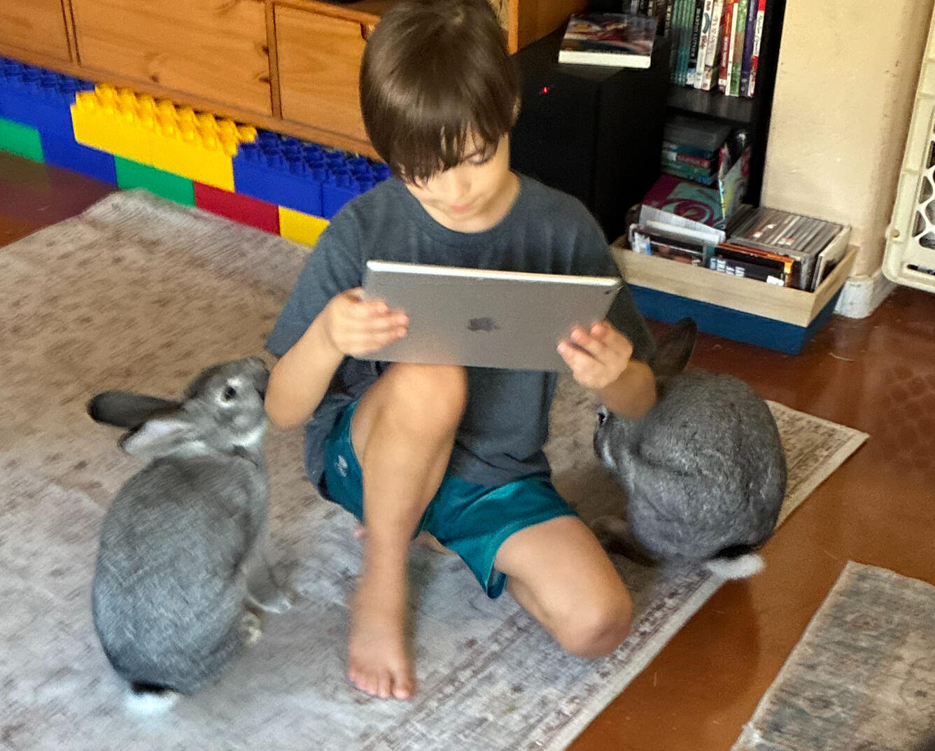 Andrew with Buddy and Indy